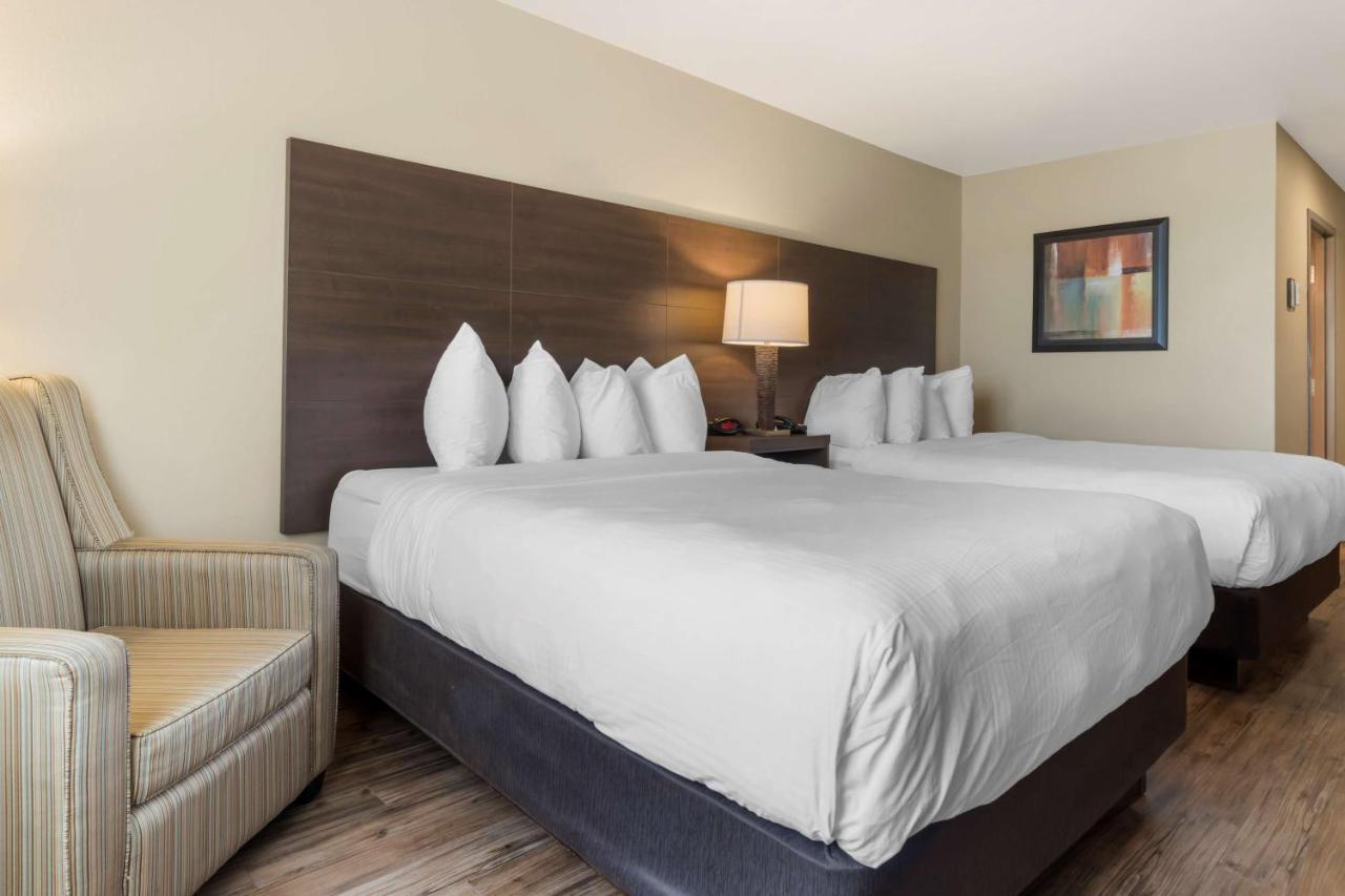 Best Western Plus Saint John Hotel & Suites Dış mekan fotoğraf