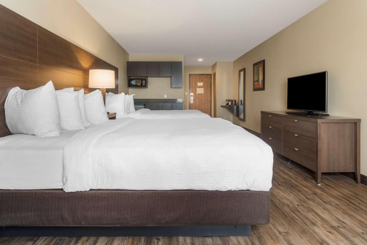Best Western Plus Saint John Hotel & Suites Dış mekan fotoğraf