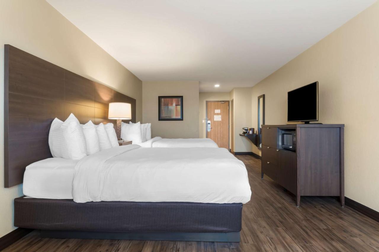 Best Western Plus Saint John Hotel & Suites Dış mekan fotoğraf