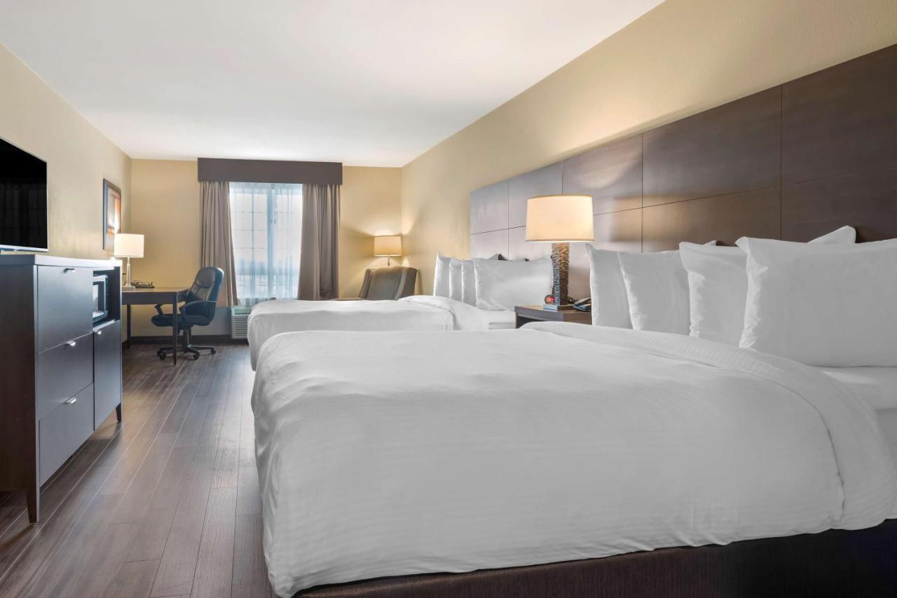 Best Western Plus Saint John Hotel & Suites Dış mekan fotoğraf