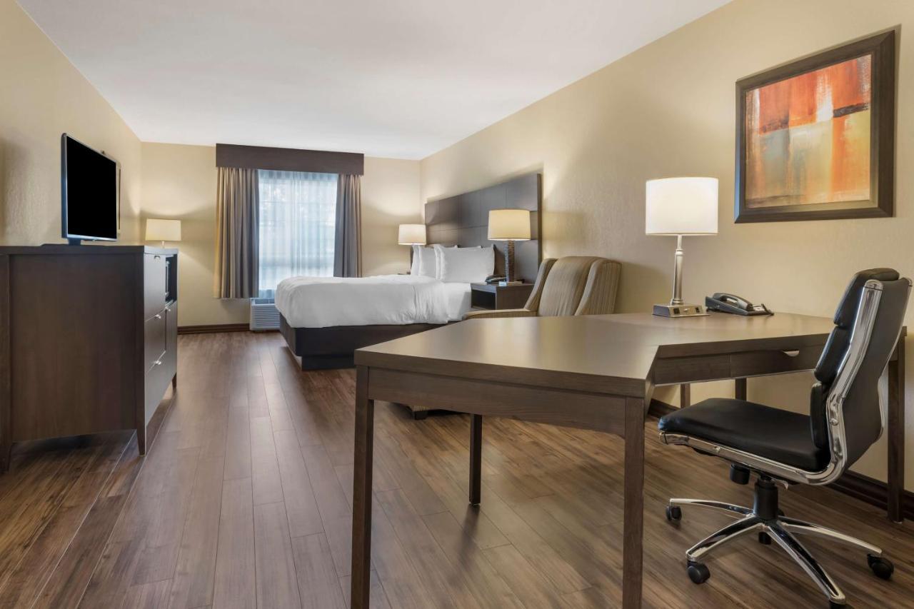 Best Western Plus Saint John Hotel & Suites Dış mekan fotoğraf