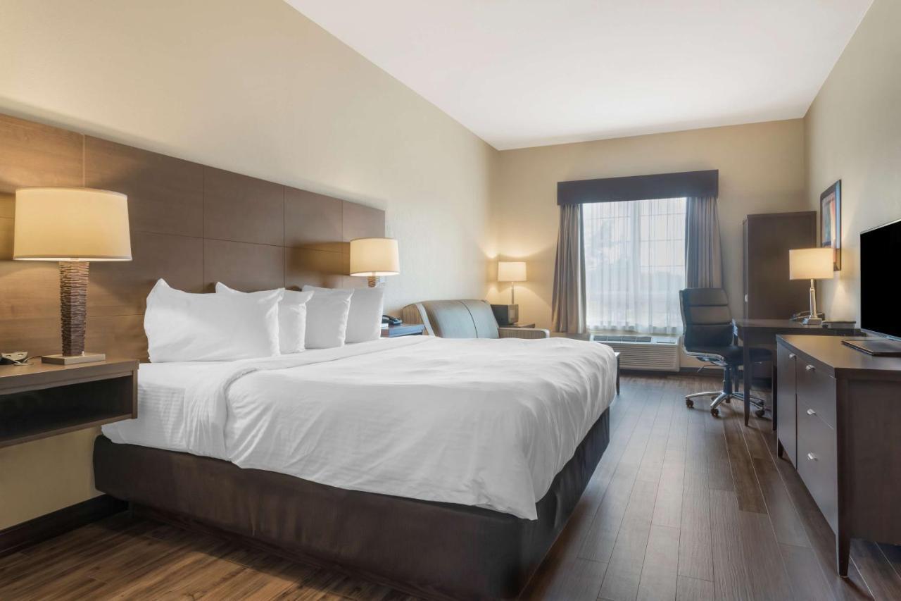 Best Western Plus Saint John Hotel & Suites Dış mekan fotoğraf
